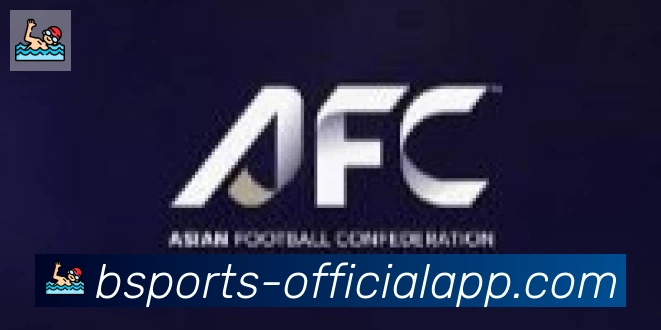 bsports体育合作伙伴